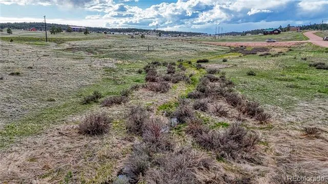 315 Empire Road Florissant, CO 80816
