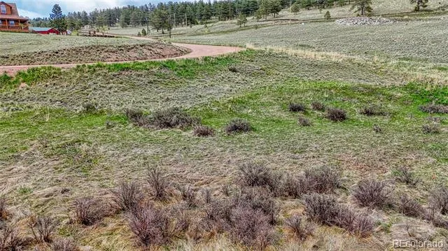 315 Empire Road Florissant, CO 80816