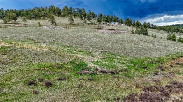 315 Empire Road Florissant, CO 80816