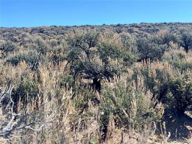 LOT 33 UNIT R BLK 25 SAN LUIS VALLEY RANCHES San Luis, CO 81152