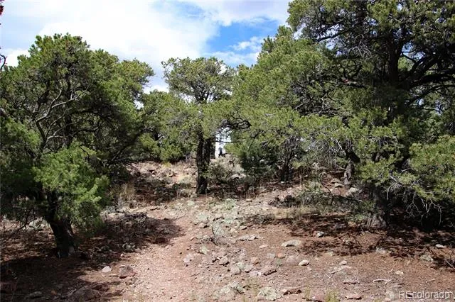 2252 White Tail RD #2 Circle San Luis, CO 81152