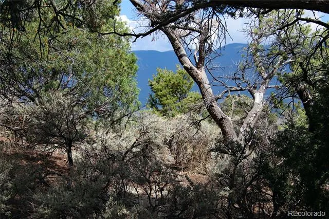 2252 White Tail RD #2 Circle San Luis, CO 81152
