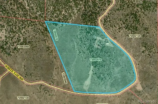 2252 White Tail RD #2 Circle San Luis, CO 81152