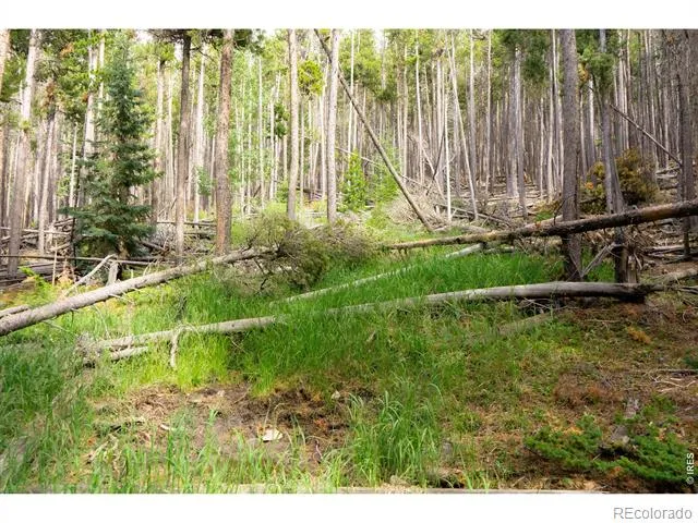 0 Twin Spruce Road Golden, CO 80403