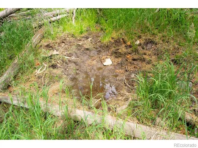 0 Twin Spruce Road Golden, CO 80403