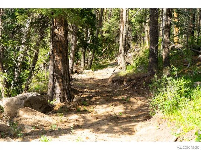 0 Twin Spruce Road Golden, CO 80403