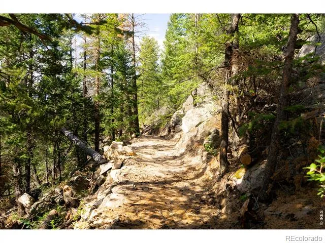 0 Twin Spruce Road Golden, CO 80403