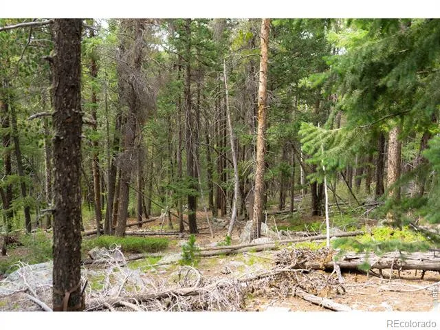 0 Twin Spruce Road Golden, CO 80403