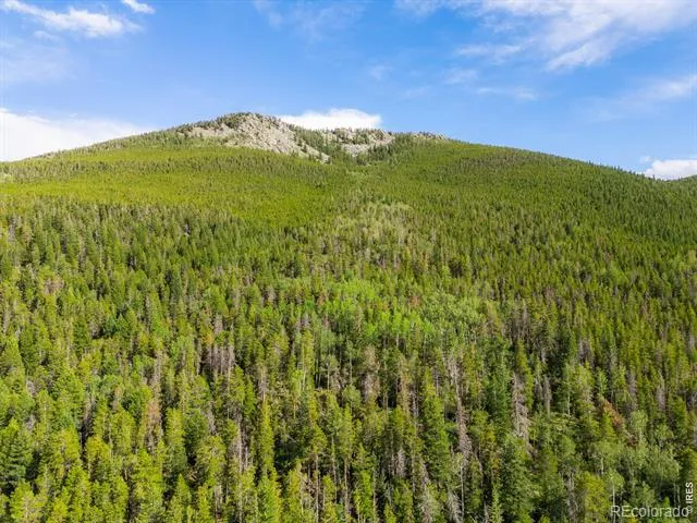 0 Twin Spruce Road Golden, CO 80403