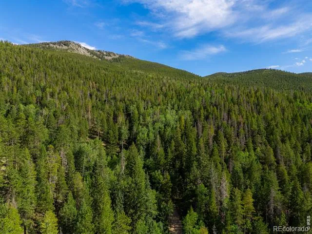 0 Twin Spruce Road Golden, CO 80403