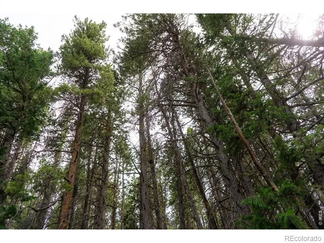 0 Twin Spruce Road Golden, CO 80403