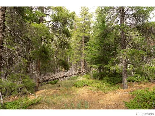 0 Twin Spruce Road Golden, CO 80403