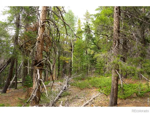 0 Twin Spruce Road Golden, CO 80403