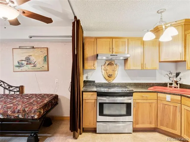 380 Paradise Circle #C1 Woodland Park, CO 80863