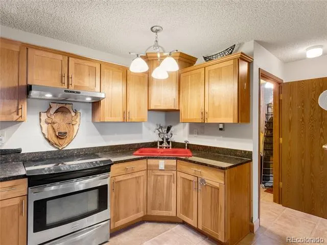 380 Paradise Circle #C1 Woodland Park, CO 80863