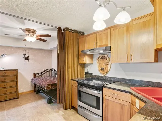380 Paradise Circle #C1 Woodland Park, CO 80863
