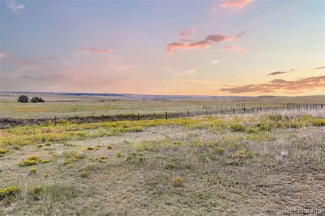 22685 Cow Circle Ramah, CO 80832