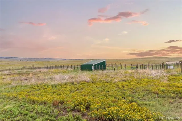 22685 Cow Circle Ramah, CO 80832