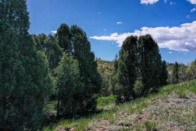 3455 Black Canyon Road Colorado Springs, CO 80904