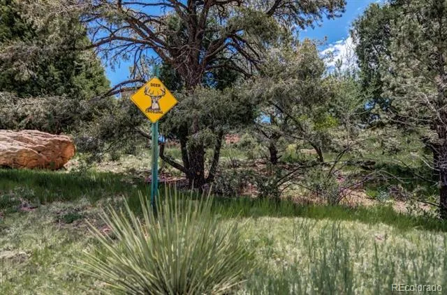 3455 Black Canyon Road Colorado Springs, CO 80904