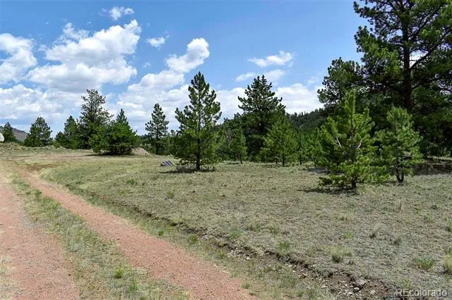 376 Copeland Road Guffey, CO 80820