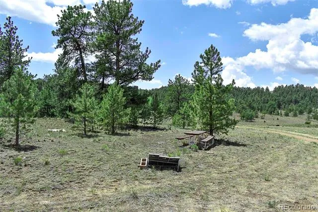 376 Copeland Road Guffey, CO 80820