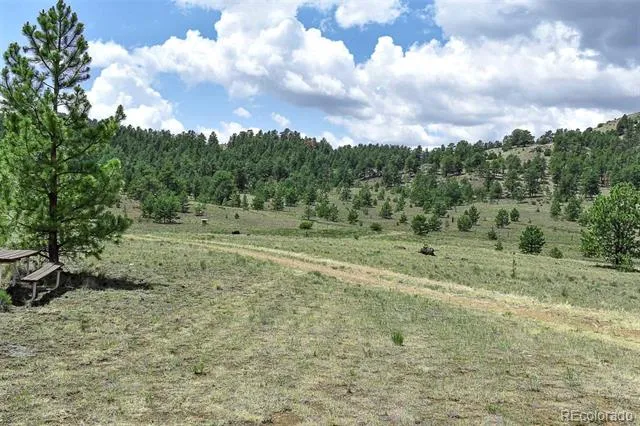 376 Copeland Road Guffey, CO 80820
