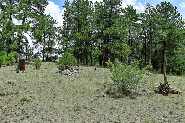 376 Copeland Road Guffey, CO 80820