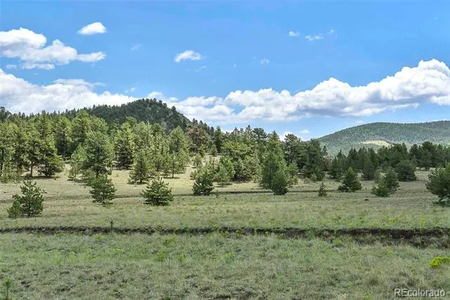 376 Copeland Road Guffey, CO 80820