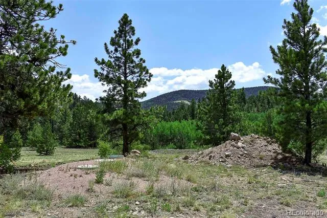 376 Copeland Road Guffey, CO 80820