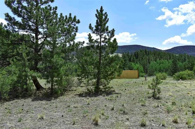 376 Copeland Road Guffey, CO 80820