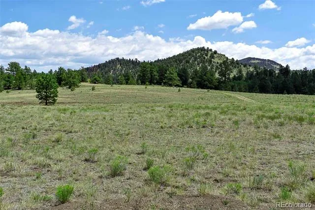 376 Copeland Road Guffey, CO 80820