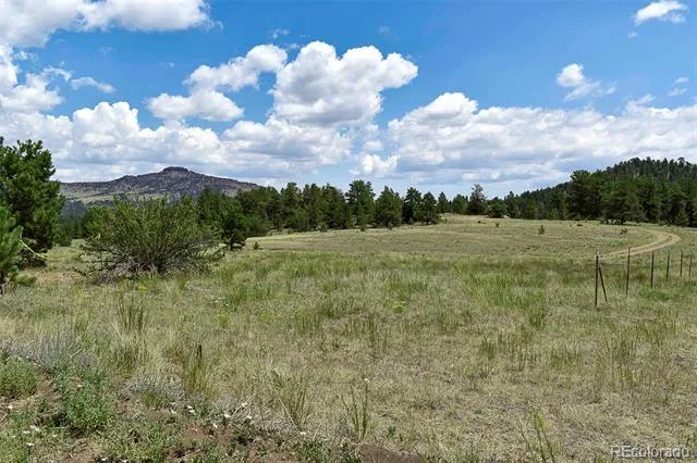 376 Copeland Road Guffey, CO 80820