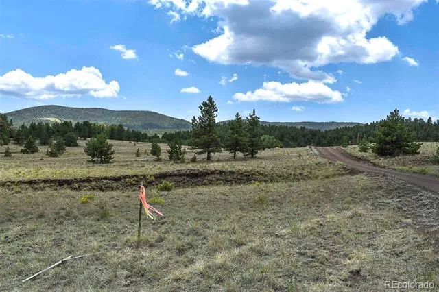 376 Copeland Road Guffey, CO 80820