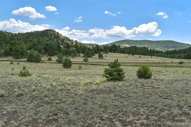 376 Copeland Road Guffey, CO 80820