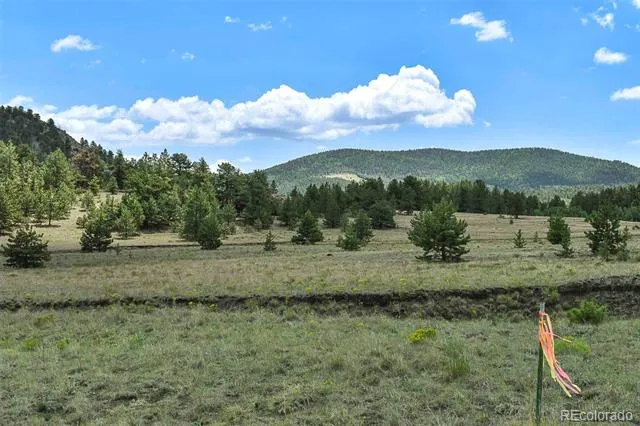 376 Copeland Road Guffey, CO 80820
