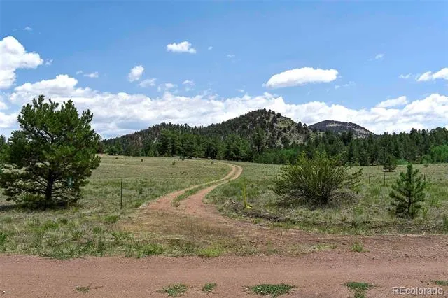 376 Copeland Road Guffey, CO 80820