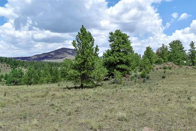 376 Copeland Road Guffey, CO 80820