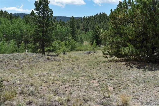 376 Copeland Road Guffey, CO 80820