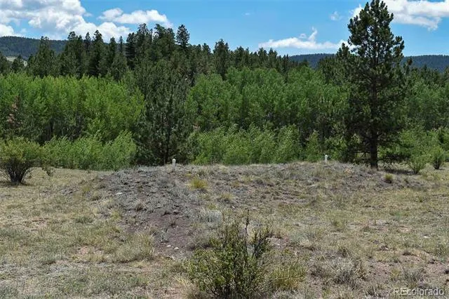 376 Copeland Road Guffey, CO 80820