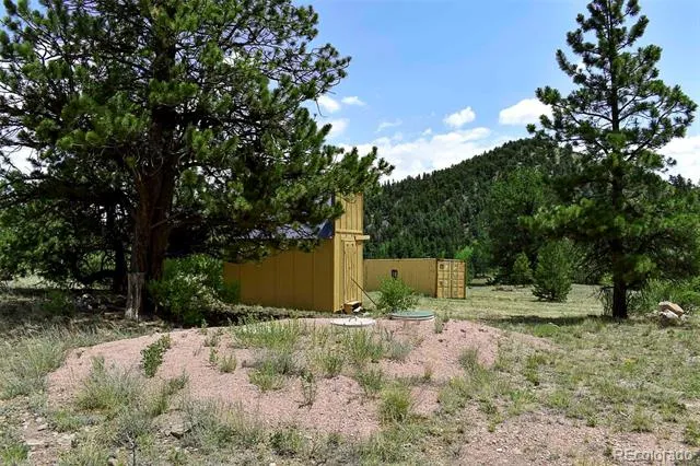376 Copeland Road Guffey, CO 80820
