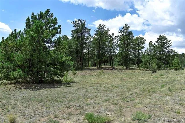 376 Copeland Road Guffey, CO 80820