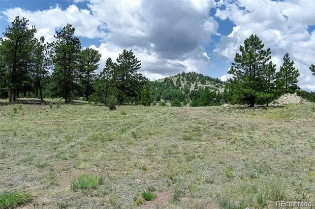 376 Copeland Road Guffey, CO 80820
