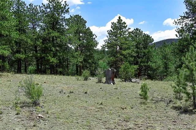 376 Copeland Road Guffey, CO 80820