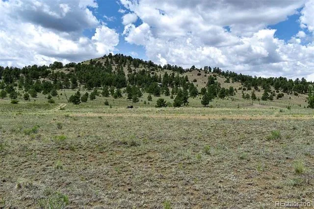 376 Copeland Road Guffey, CO 80820
