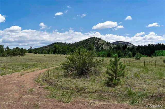 376 Copeland Road Guffey, CO 80820