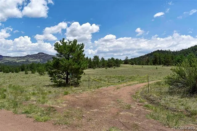 376 Copeland Road Guffey, CO 80820