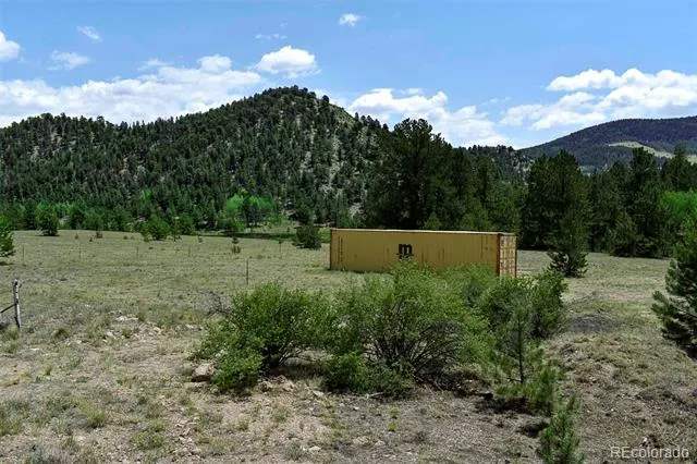 376 Copeland Road Guffey, CO 80820