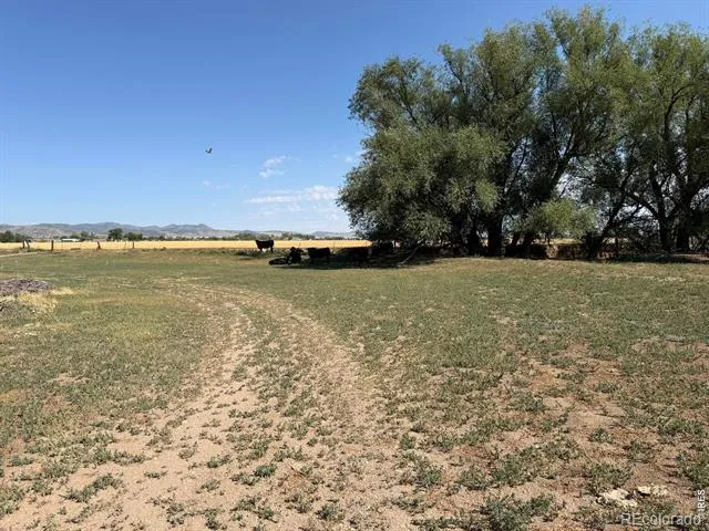 1404 US Highway 287 Fort Collins, CO 80524