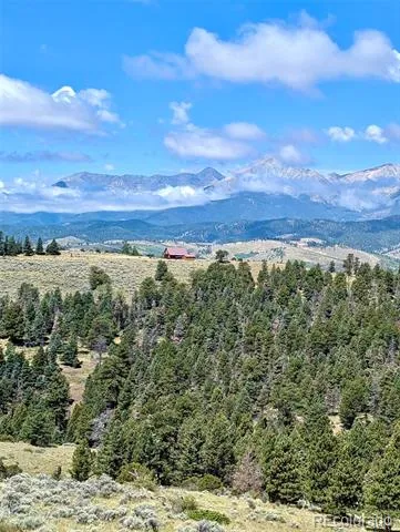110 Guendel Place Fort Garland, CO 81133